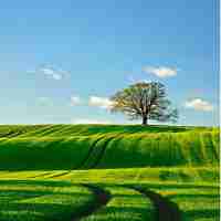 html的​脚‌本​语‌言﻿